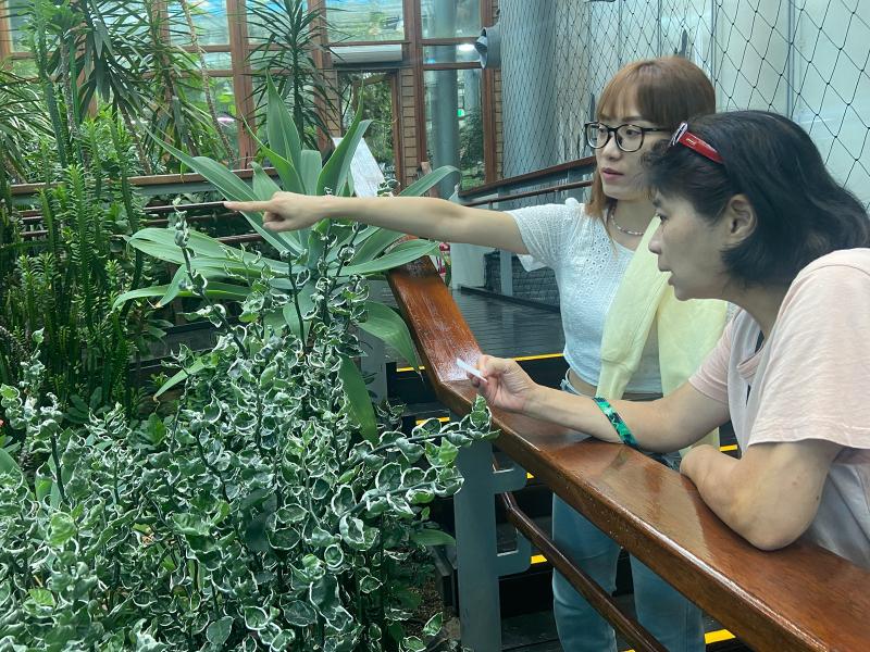 連結植感
