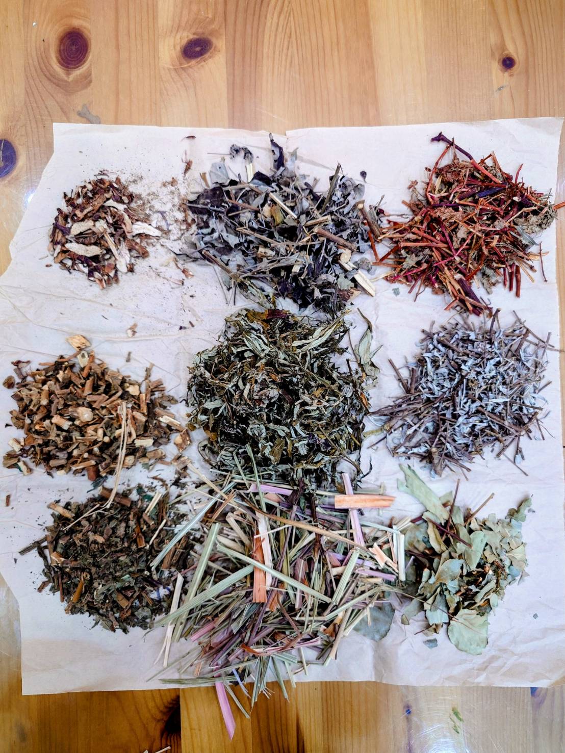 特別企劃團體活動