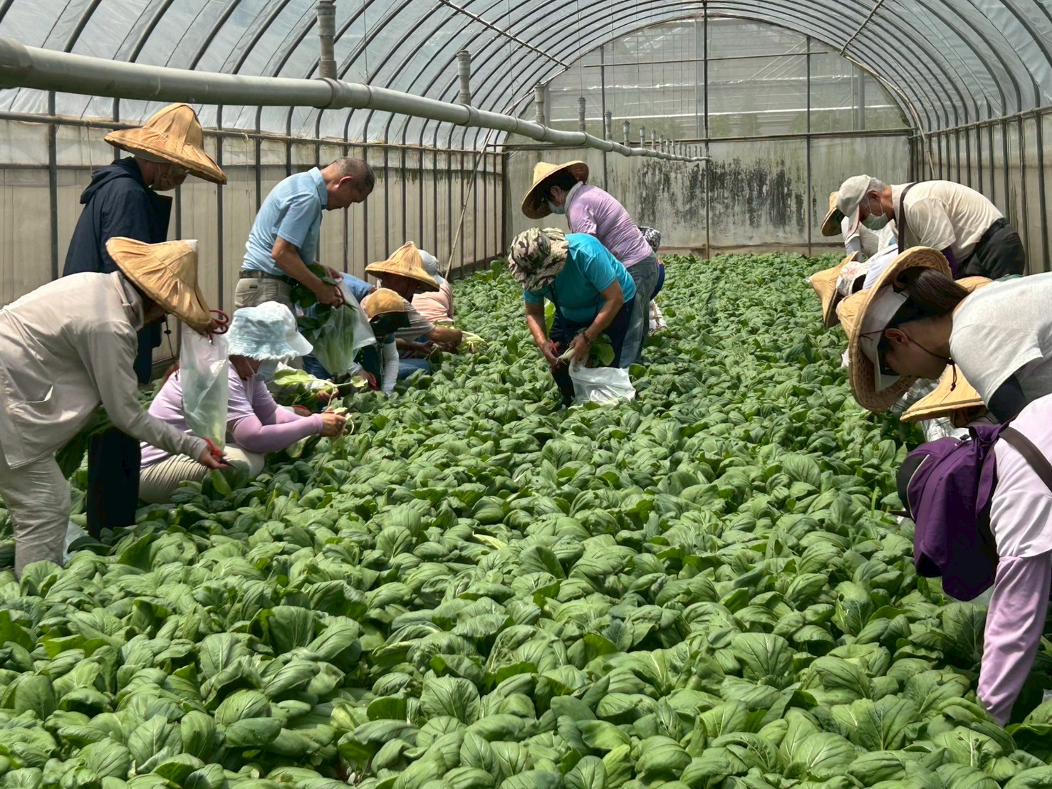 典藏植物園志工教育訓練：參訪台塑楊梅有機生態農場