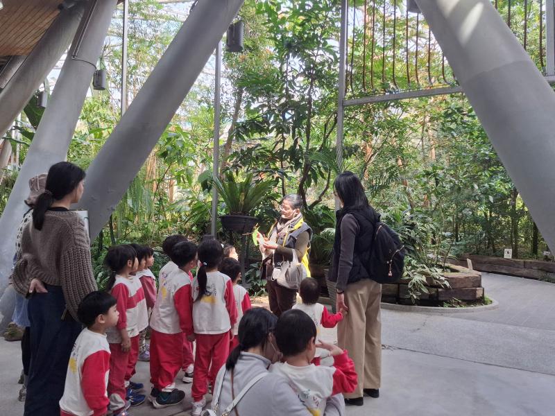2026.3.11 植感色階 活動回顧 