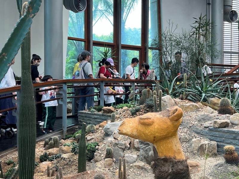 2025.4.9 植感色階 活動回顧 